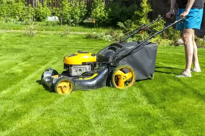 Affordable Lawn Mowing in Burbank, CA