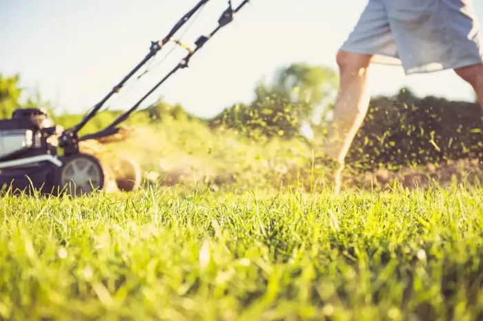 Can you mow wet grass in Burbank, CA