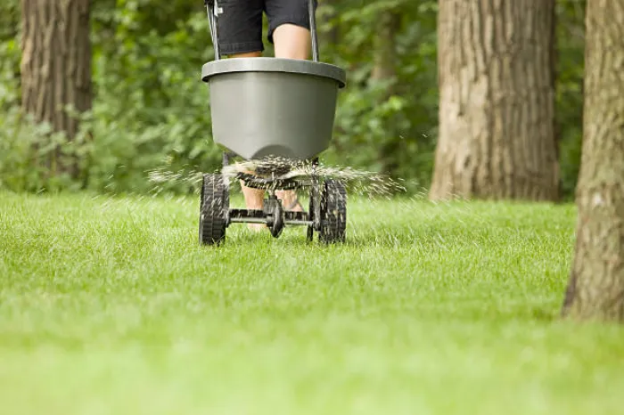 Dependable Lawn Fertilization in Burbank, CA