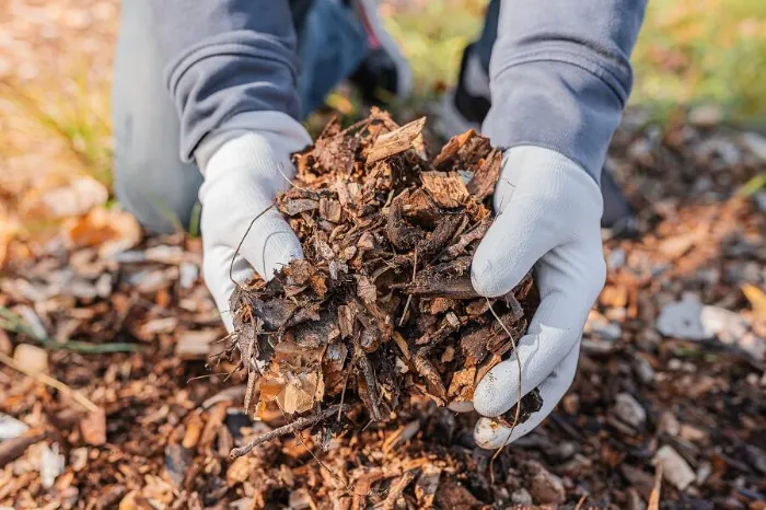 Dependable Mulching in Burbank, CA