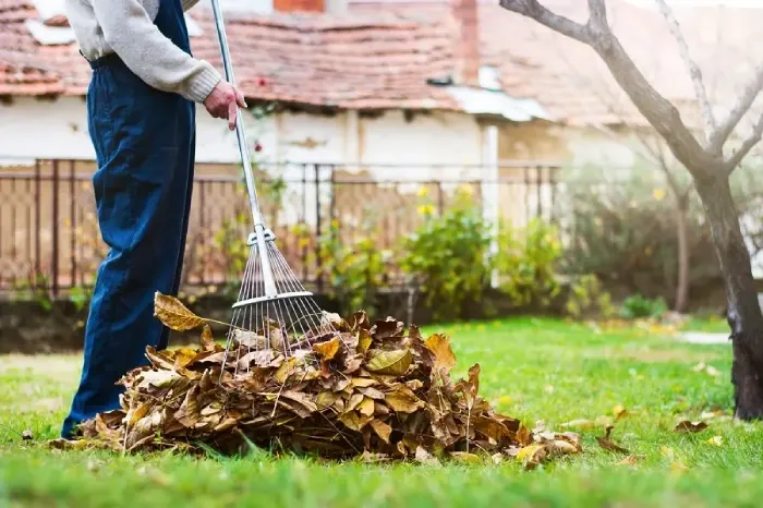 Detailed Yard Cleanup in Burbank, CA