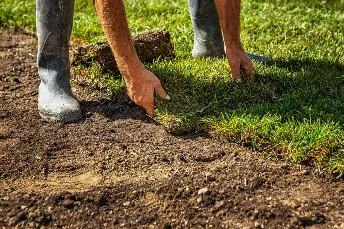 Excellent Sod Installation in Burbank, CA