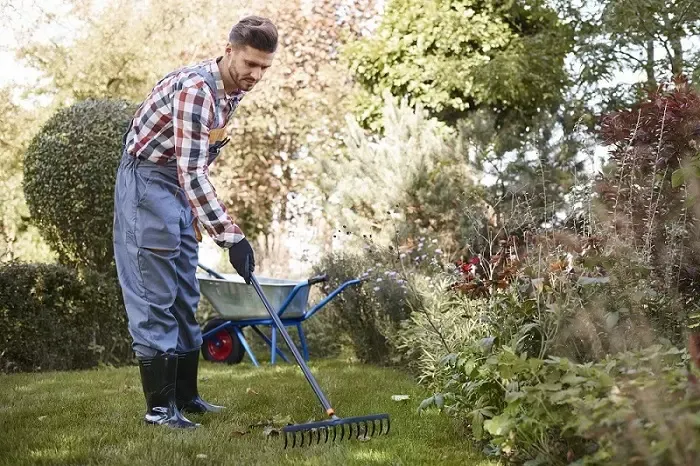 Exceptional Yard Cleanup in Burbank, CA