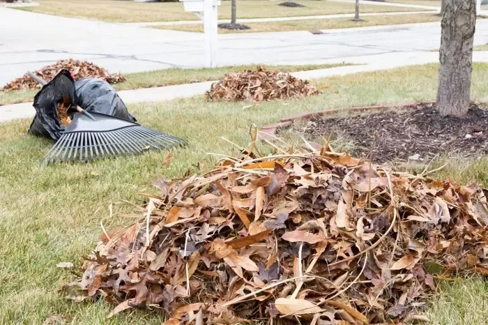 High-quality Yard Cleanup in Burbank, CA