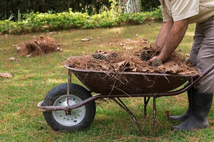 How To Clean A Backyard in Burbank, CA