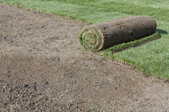 How long after installing sod can you walk on it Burbank, CA