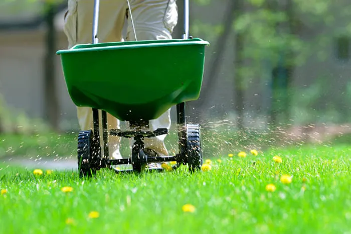 How often should you fertilize your lawn in Burbank, CA