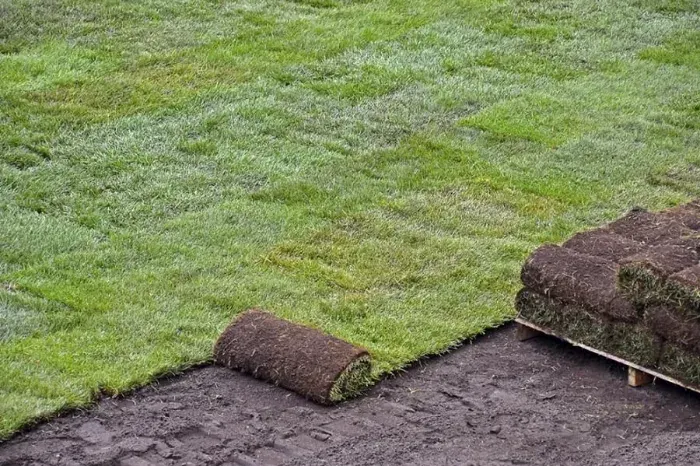 How to lay sod over existing lawn Burbank, CA