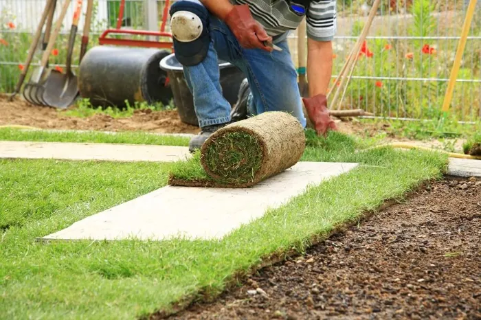 How to lay sod over existing lawn in Burbank, CA