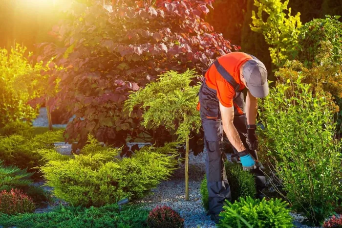 Landscaping Services