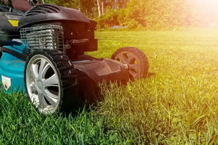 Professional Lawn Mowing in Burbank, CA