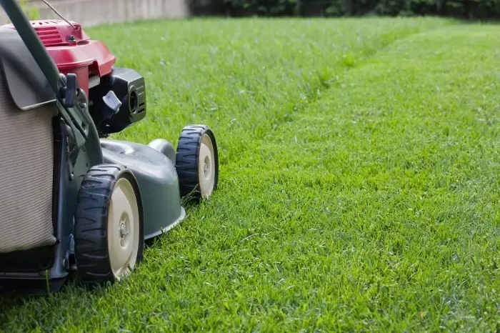 Reliable Lawn Mowing in Burbank, CA