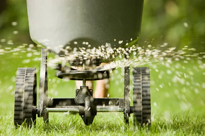 Top-notch Lawn Fertilization in Burbank, CA