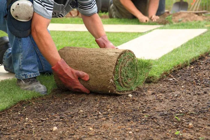 Trusted Sod Installation in Burbank, CA