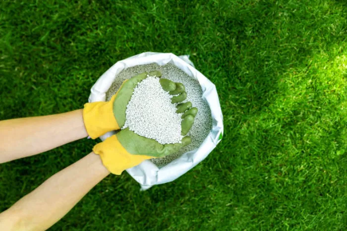 When is the best time to fertilize your lawn Burbank, CA